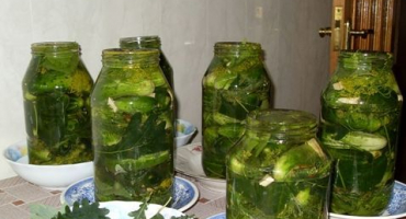 Recepty na nakládané okurky s dubovými listy na zimu ve sklenicích